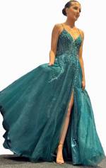 Cora Tulle Bead Gown